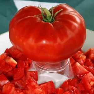 Dev ponderosa kırmızı domates tohumu ince kabuklu ponderosa red beefsteak heirloom tomato