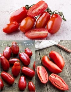 San marzano domatesi tohumu geleneksel italyan