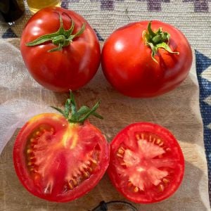 Erkenci domates tohumu soğuğa dayanıklı sub arctic plenty heirloom tomato