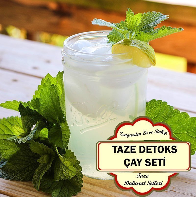 Detoks çayı taze baharat seti saksılı