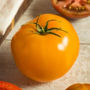 Sarı domates tohumu golden sunray tomato atalık