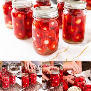 Kiraz acı biber tohumu red cherry hot pepper seeds