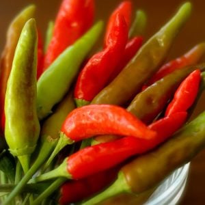 Tabasco acı biber tohumu