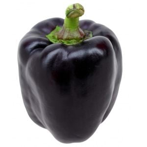 Mor dolmalık biber tohumu sweet purple beauty bell pepper