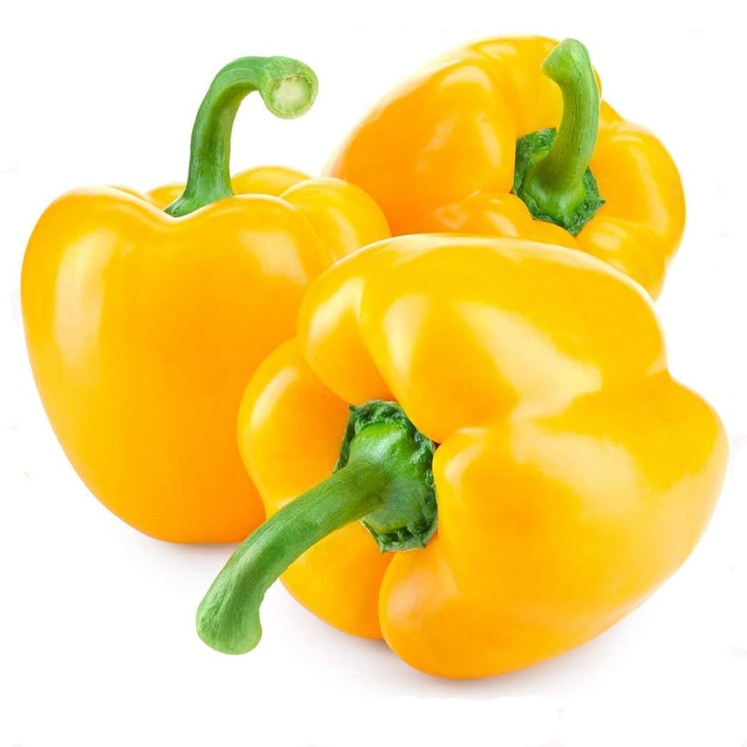 Tatlı sarı Asti biber tohumu sweet pepper