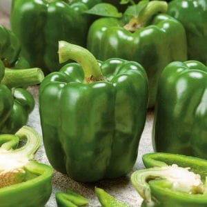 Dev dolmalık biber tohumu emerald giant