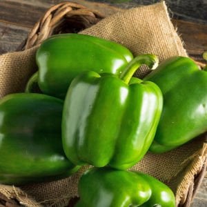 Dev dolmalık biber tohumu emerald giant