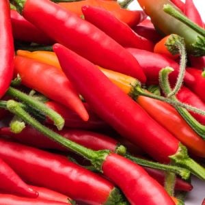 Serrano tampiqueno biber tohumu orta acı