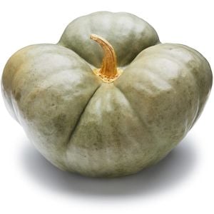 Atalık üç loblu balkabağı tohumu triway tatlılık