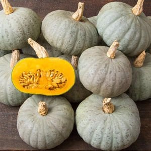Winter Sweet kabocha kestane balkabağı tohumu