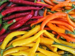 Turuncu cayenne acı biber tohumu Orange Cayenne Chile Peppers