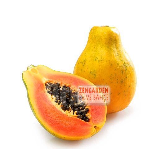 Hawaii solo papaya tohumu
