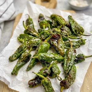 Padron acı biber tohumu