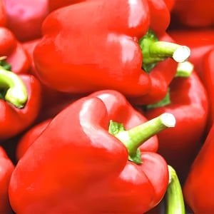 Tatlı kırmızı Asti biber tohumu sweet pepper