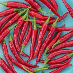 Mirch Masala Hint acı biber tohumu capsicum baccatum