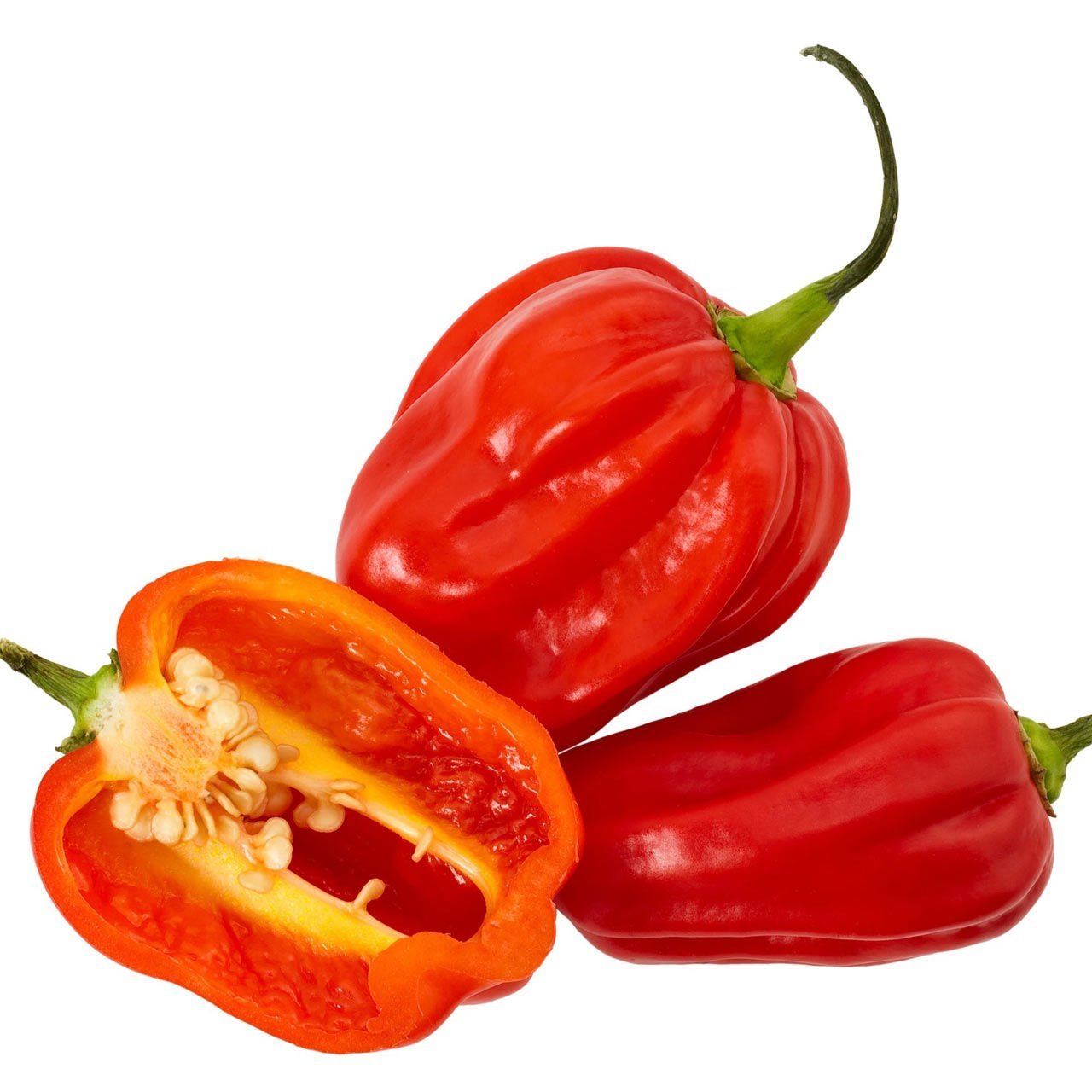 Kırmızı jamaika acı biber tohumu red scotch bonnet jamaican