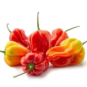 Kırmızı jamaika acı biber tohumu red scotch bonnet jamaican