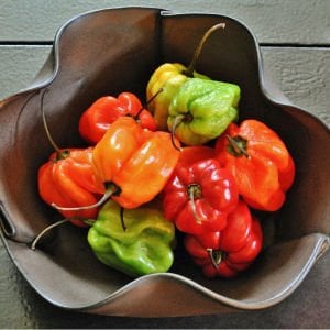 Kırmızı jamaika acı biber tohumu red scotch bonnet jamaican