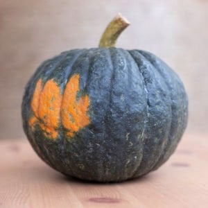 Tetsukabuto kabocha kestane balkabağı tohumu Kışlık
