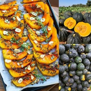 Tetsukabuto kabocha kestane balkabağı tohumu Kışlık