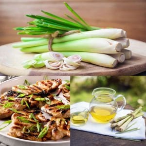 Limonotu Lemon Grass saksıda yetişmiş bitki Cymbopogon citratus