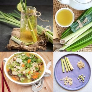 Limonotu Lemon Grass saksıda yetişmiş bitki Cymbopogon citratus
