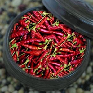 Yatzy Yatsufusa acı biber tohumu capsicum annuum