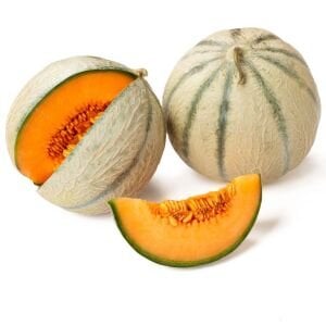 Şekerküpü kavun tohumu geleneksel honey rock melon seeds