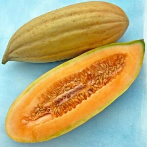 Muz kavun tohumu melon banana seeds