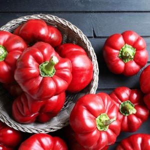 Tatlı kırmızı kuzu burnu pimento biberi tohumu sheep nose pimento
