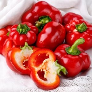 Tatlı kırmızı kuzu burnu pimento biberi tohumu sheep nose pimento