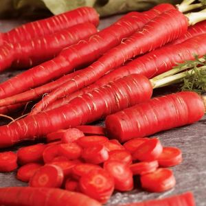 Kırmızı havuç tohumu atomic red carrot Atalık