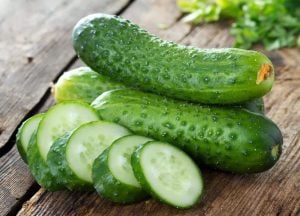 Çalı turşuluk salatalık tohumu bush pickle cucumber