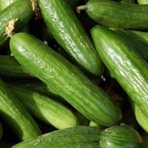 Muncher Atalık salatalık tohumu