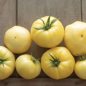 Beyaz söğüşlük domates tohumu geleneksel white wonder tomato seeds