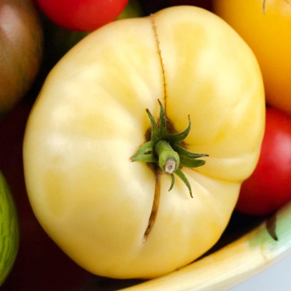 Beyaz söğüşlük domates tohumu geleneksel white wonder tomato seeds
