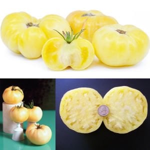 Beyaz söğüşlük domates tohumu geleneksel white wonder tomato seeds