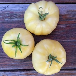 Beyaz söğüşlük domates tohumu geleneksel white wonder tomato seeds