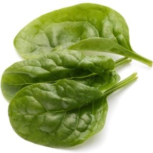 Dev ıspanak Giant Noble tohumu
