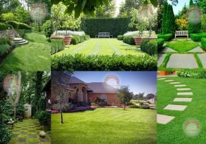 Çim tohumu karışımı zenmix II. ( 7 li karışım )