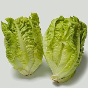 Little gem fındık marul tohumu atalık