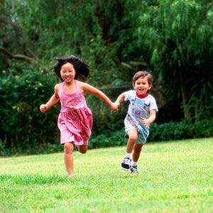 Çim tohumu karışımı 6 lı ecomix