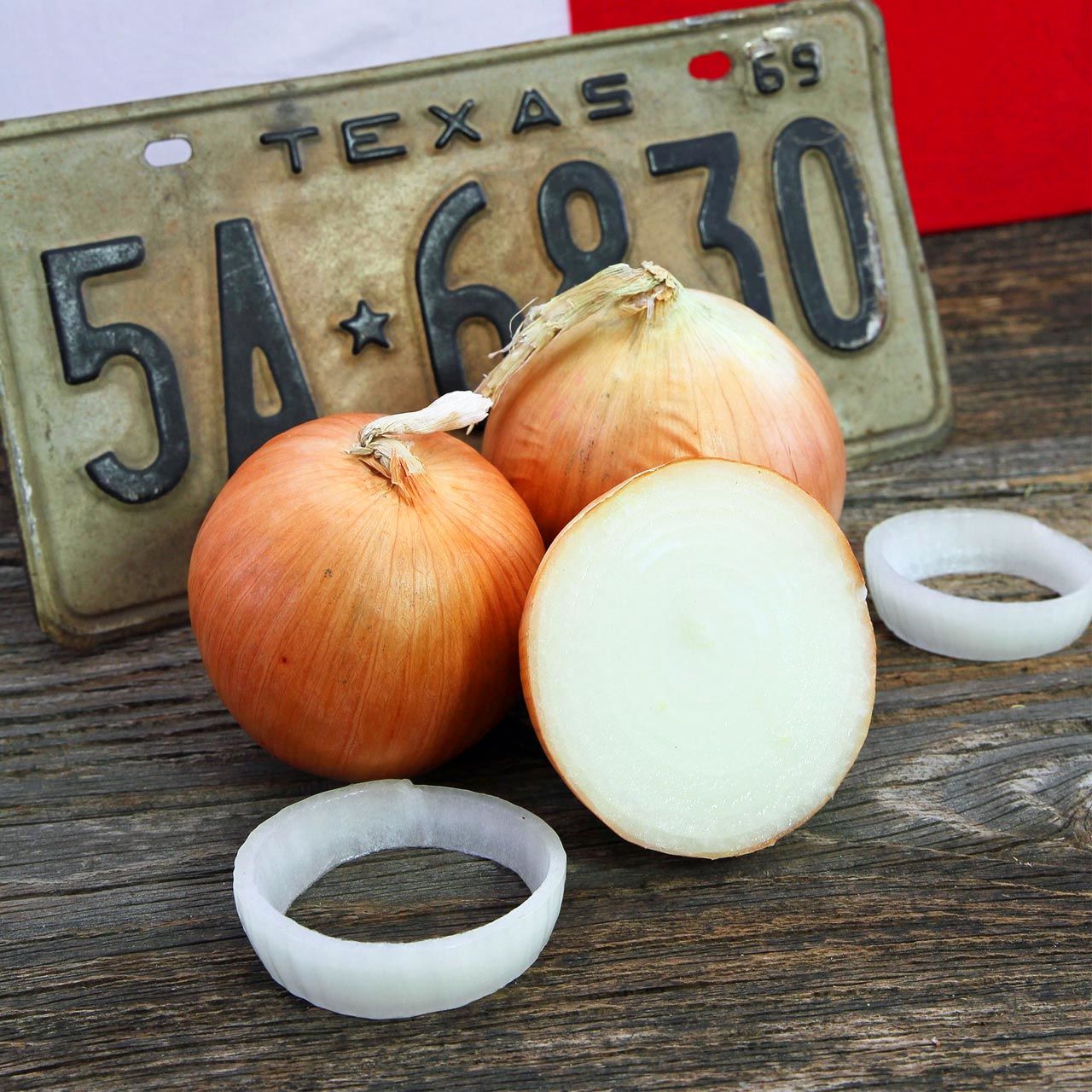 Atalık Teksas tatlı soğan tohumu 1015Y Texas Süper sarısı