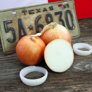Atalık Teksas tatlı soğan tohumu 1015Y Texas Süper sarısı