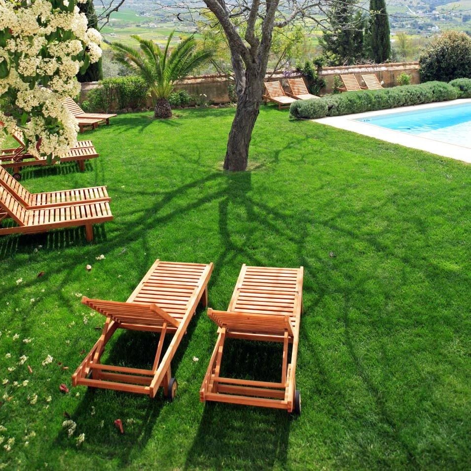 Çim tohumu karışımı 4'lü Efes karışım