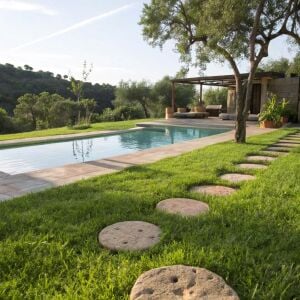 Çim tohumu karışımı 4'lü Efes karışım