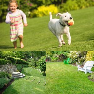 Çim tohumu karışımı 3 lü tropik karışım 10 kg