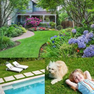 Çim tohumu karışımı 3 lü tropik karışım 10 kg