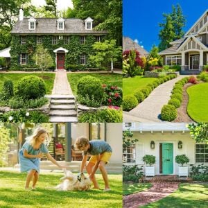 Çim tohumu karışımı 3 lü tropik karışım 10 kg