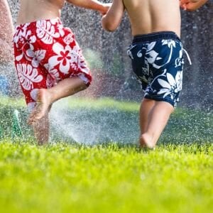 Çim tohumu karışımı 3 lü tropik karışım